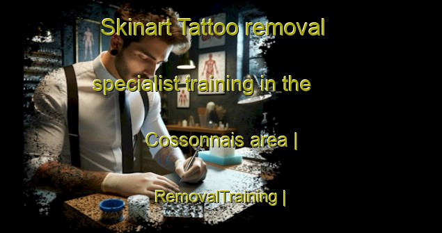 Skinart Tattoo removal specialist training in the Cossonnais area | RemovalTraining | RemovalClasses | SkinartTraining-France